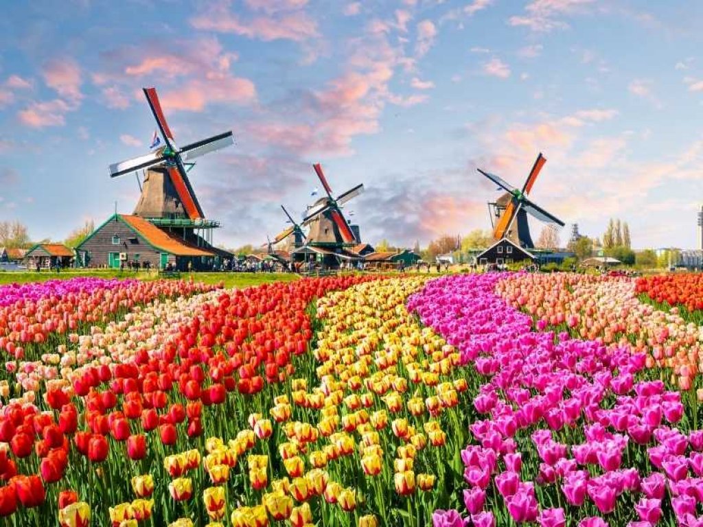 Zwiedzamy Holandię kamperem