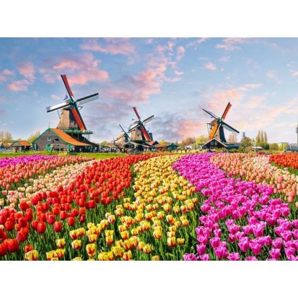 Zwiedzamy Holandię kamperem