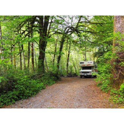 Już można legalnie nocować na dziko w lesie