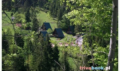 Ośrodek Wypoczynkowy - domki letniskowe